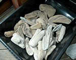 ȗ