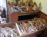 ȗ
